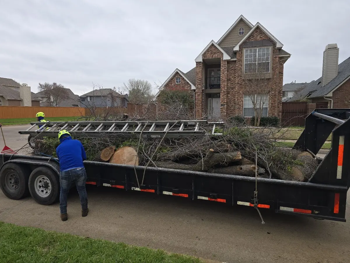 Expert Tree Removal with proper safety equipment in Middlefield
